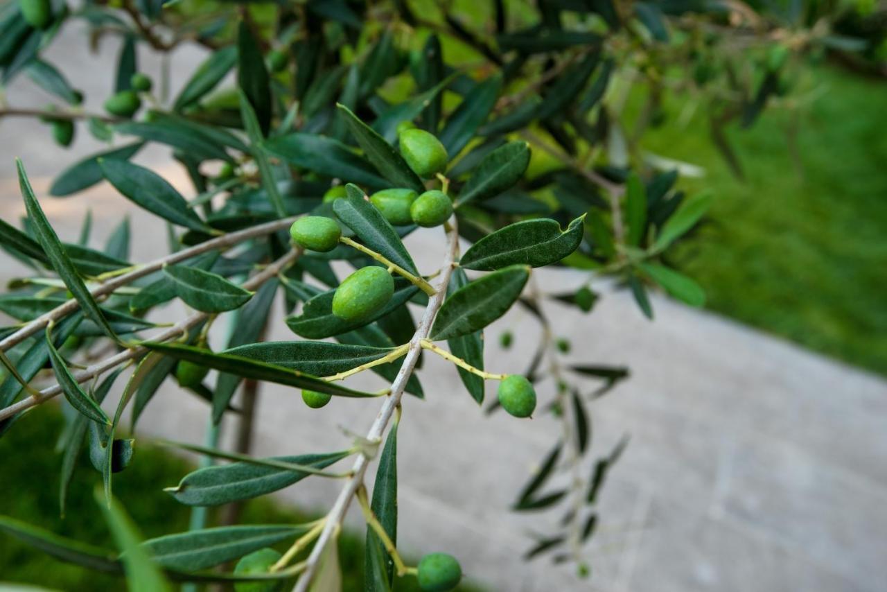 Ferienwohnung Olive 101 Peraía Exterior foto